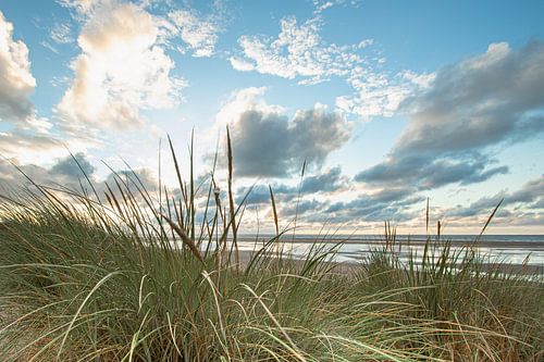 strand van Ameland, strand, zee , duinen en helmgras