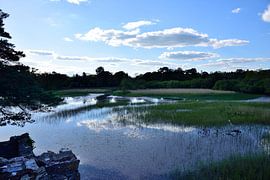 Peaceful corner of Lough Leane