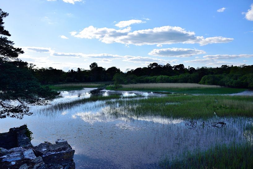 Peaceful corner of Lough Leane by Frank's Awesome Travels