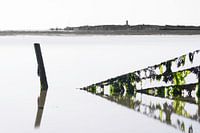 Seaweed green 4