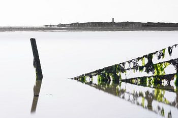 Seegras grün 4