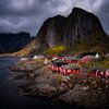 Noorwegen Rode vissershuisjes in Hamnoy van Leon Brouwer