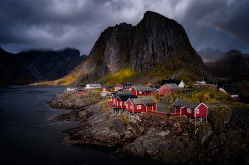 Noorwegen Rode vissershuisjes in Hamnoy