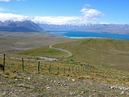 Tekapo Walkway