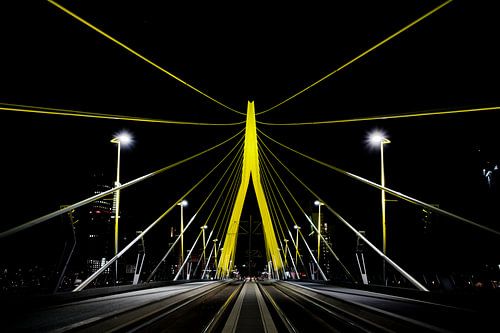 Erasmusbrug, Rotterdam