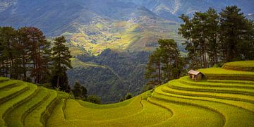 De adembenemende rijstvelden van Mu Cang Chai, Vietnam van Antwan Janssen