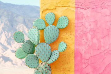 Cactus pastel II van Philippe HUGONNARD
