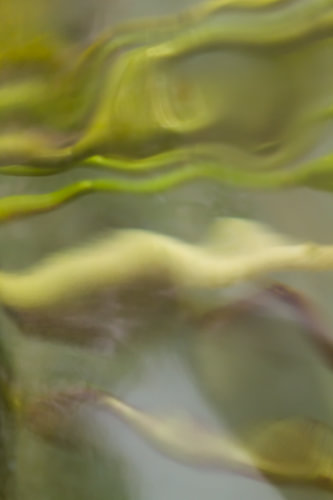 Unveiled - photographie abstraite sur QEIMOY