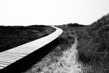 Le chemin vers la plage
