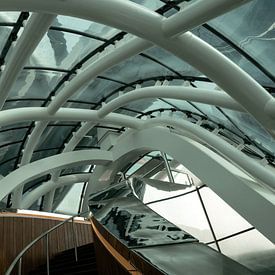 Fenix Rotterdam sur Frank Lavooij