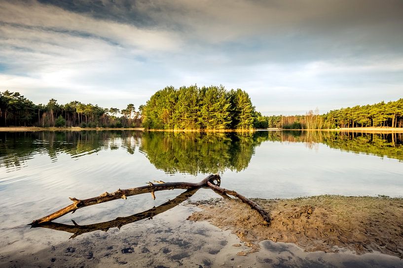 Ven in het Herperduin, Noord-brabant van Marcel Bakker