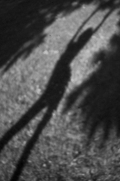 sich frei fühlend von Karin van Bylevelt