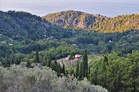 Grieks landschap op Samos van Marije van der Vies thumbnail