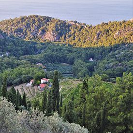 Grieks landschap op Samos sur Marije van der Vies