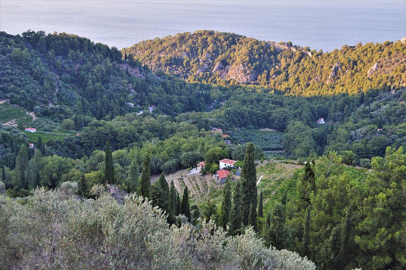Grieks landschap op Samos van Marije van der Vies