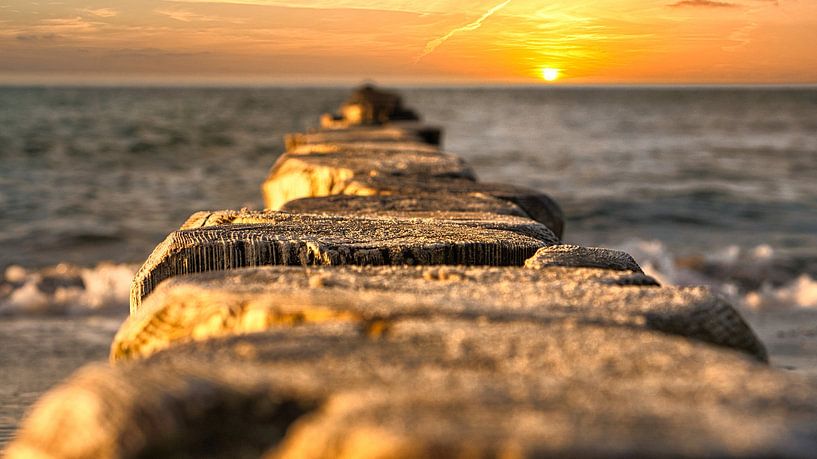 Kribben die in zee steken. Genomen in Zingst, aan de Darß. Het perspectief is gericht op de horizon. van Martin Köbsch