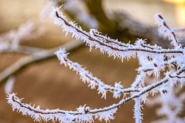 Geometry of cold by Photoart-Naegele