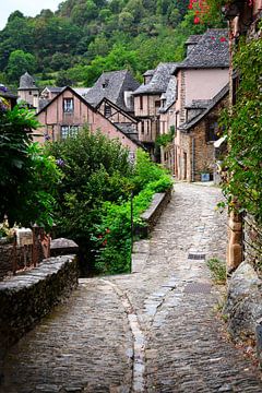 Conques, een oase van rust op de pelgrimsroute naar Santiago de Compostela van Frank Photos