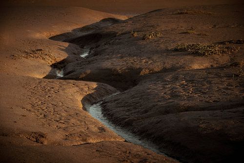 Tidal Creek in the Wadden Sea III