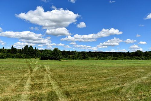 Tractorsporen in een veld in de zomer
