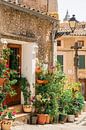 Rue pittoresque de Valldemossa par Evelien Oerlemans Aperçu