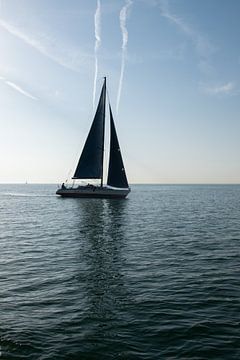 Sailboat in Zeeland Flanders by Miss Dee Photography