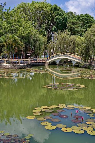 Serene natuur in een Vietnamees stadspark van Frank Photos
