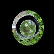 Nicolas Deman Profile picture