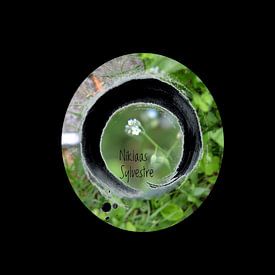 Nicolas Deman Profile picture