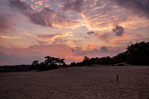 Farben des Sonnenuntergangs 7 - Loonse en Drunense Duinen von Deborah de Meijer
