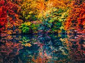 Herbst Wald mit See in Kunst Farben von Mustafa Kurnaz Miniaturansicht