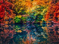 Autumn forest with lake in art colors