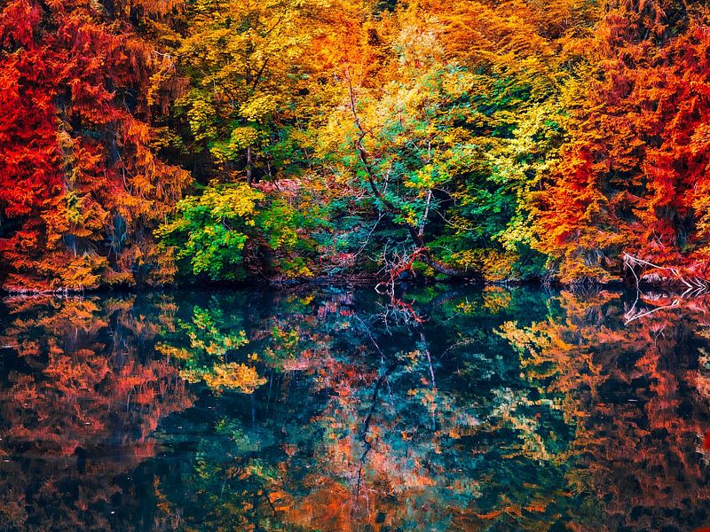 Forêt d'automne avec lac aux couleurs de l'art par Mustafa Kurnaz