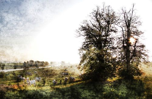 A misty sunny morning 