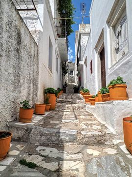 Street in Greece by Ellen Nipshagen