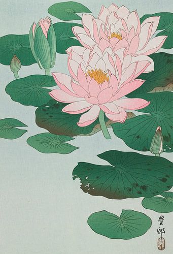 Water Lily, Ohara Koson