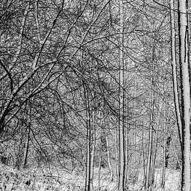 Winter landscape by Hanneke Luit