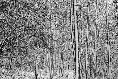 Winters landschap van Hanneke Luit