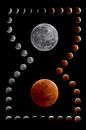 totale lunar eclipse by Monarch C. thumbnail