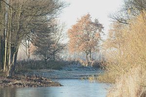 Winterlandschap van Annelies Schreuder