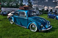 Blue Beetle van Wouter Kok thumbnail