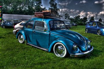 Blue Beetle van Wouter Kok