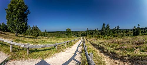 The stairs in nature reserve Kwintelooyen between Rhenen and Veenendaal