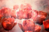 Rote Tulpen von Claudia Moeckel Miniaturansicht