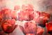 Rote Tulpen von Claudia Moeckel