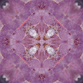Amethyst-Welten 1 - Der geöffnete Lotus von Helmut Martin - The Art of Stone - Steinkunst & Photographie