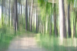 't Woud, ein Waldspaziergang. von Duinstee Gallery