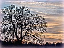 Abendstille van Heidrun Carola Herrmann