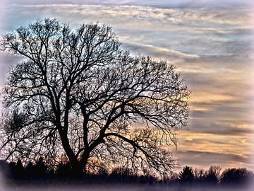 Abendstille by Heidrun Carola Herrmann