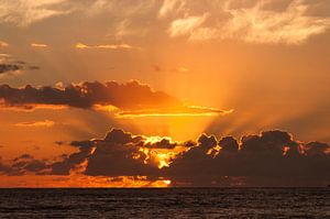 Oranje zonsondergang in Hawaii van Adri Vollenhouw